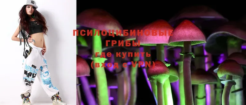 где купить   Бокситогорск  Псилоцибиновые грибы Magic Shrooms 